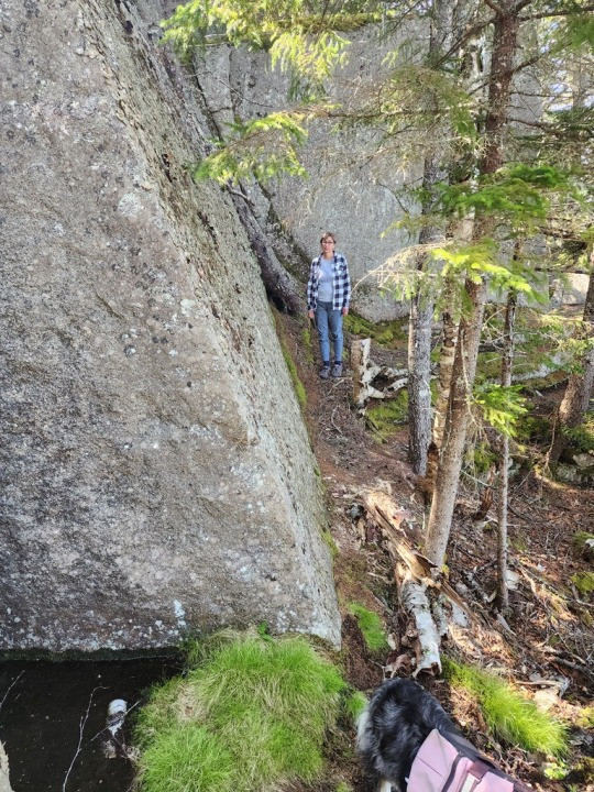 Trail with Moss